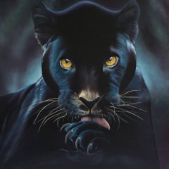 Black_Panther_1975